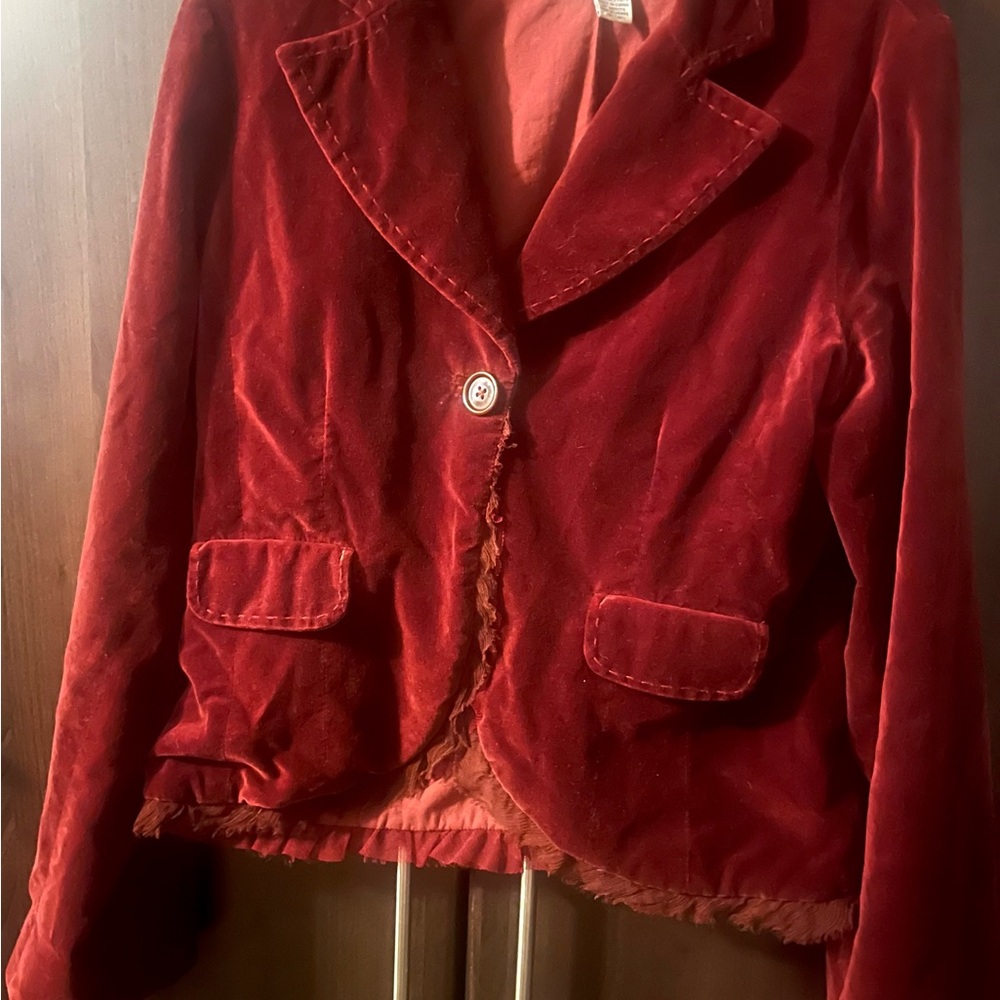 Odille Burgundy Velvet Blazer
